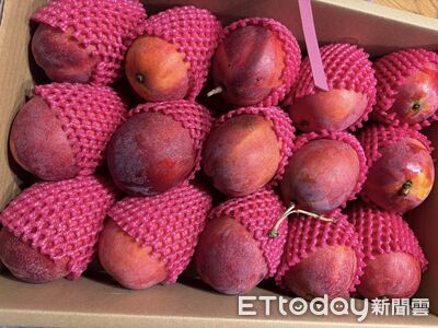 韓國延長台灣芒果等關稅優惠 農業部:外銷高端市場強心針
