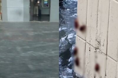 雨彈炸台北！中山北路、西門淹水「還竄出小強」　網嚇：蟑螂地獄