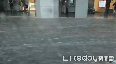 北市豪雨「大批蟑螂搶灘」 沈伯洋幫市府緩頰:瞬間降雨量蠻高的