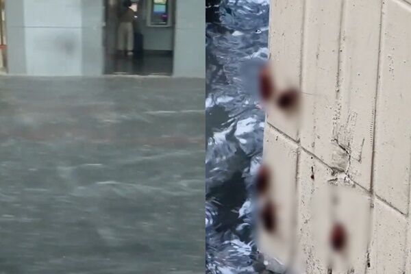 雨彈炸台北!中山北路、西門淹水「還竄出小強」 網嚇:蟑螂地獄 | ETtoday生活新聞 | ETtoday新聞雲