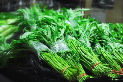 菜價Hold不住! 空心菜狂飆7倍:恐再漲