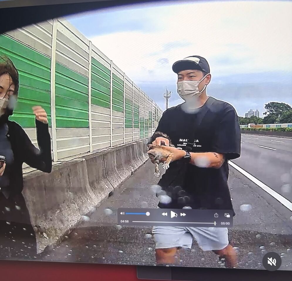 ▲▼玖壹壹洋蔥國道上救貓。（圖／翻攝玖壹壹洋蔥IG）