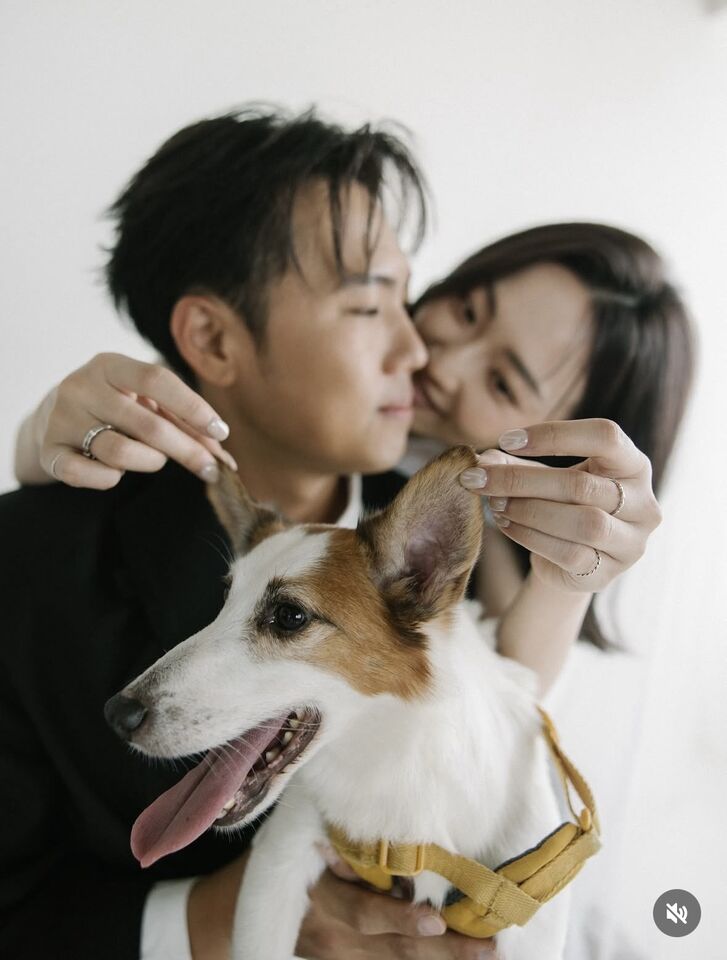 ▲▼玖壹壹洋蔥國道上救貓。（圖／翻攝玖壹壹洋蔥IG）