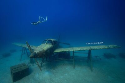 馬來西亞秘境「浪中島」開箱!看東南亞唯一飛機潛點、夜賞藍眼淚