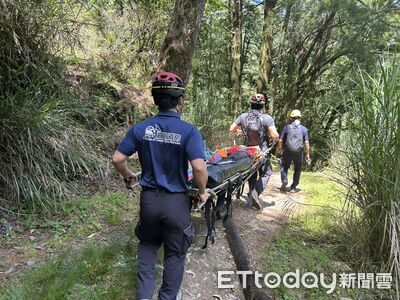 阿里山登山悲劇!75歲翁「墜30米深谷」救起無心跳 送醫仍不治