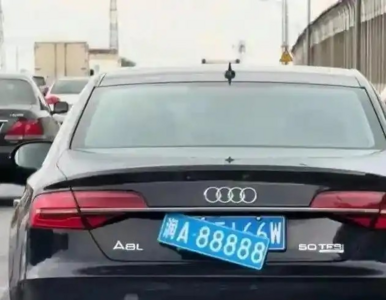 太想run了？　湖南車輛掛「潤」字車牌挨罰