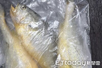 「中國黃花魚」檢出動物用藥　食藥署邊境100%逐批查驗