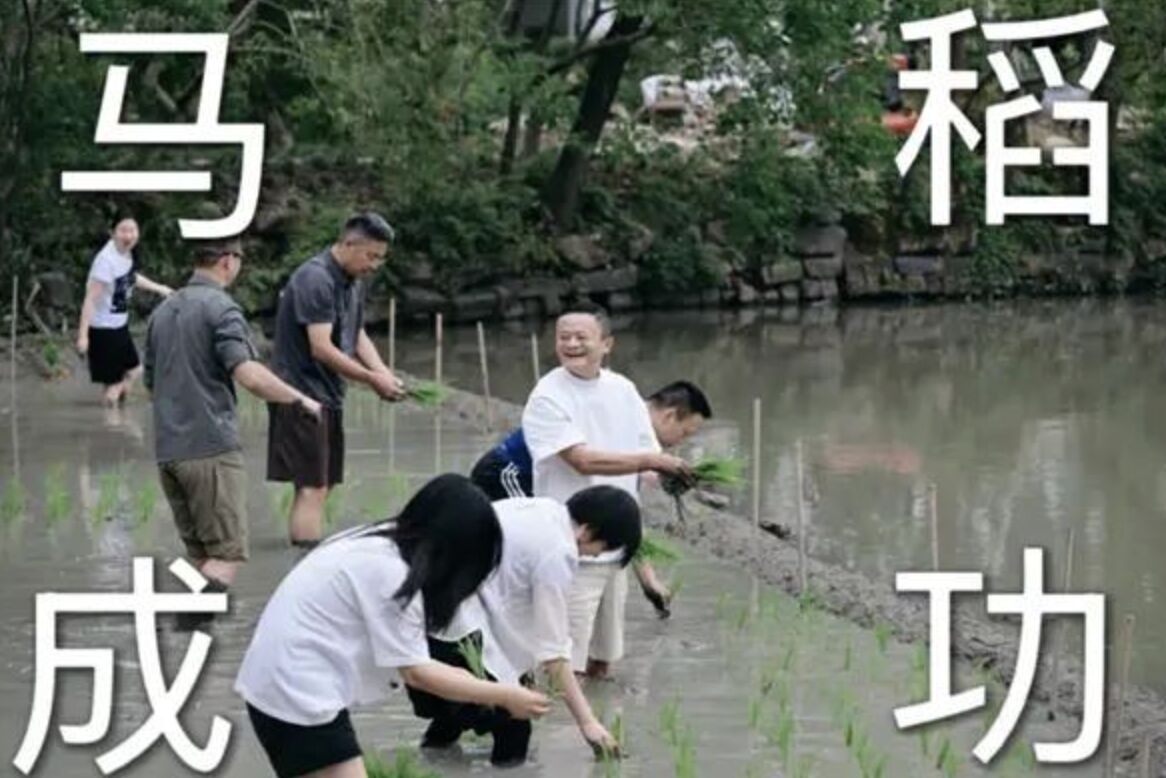 馬雲揪阿里「禾」夥人撩褲管下田插秧 忙半天只完成半畝田 | ETtoday大陸新聞 | ETtoday新聞雲