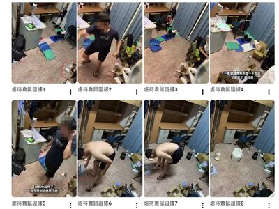 室友爆料虐鼠!男大生懺悔怪罪「棍棒教育長大」 眾人全炸了