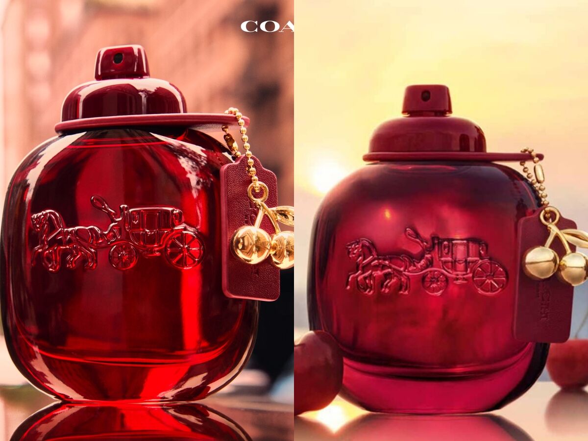 ▲Chlo&eacute;,DOLCE&GABBANA,COACH,香水,香氛。（圖／品牌提供）