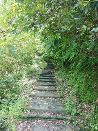 ▲▼澳花瀑布。（圖／部落客紫色微笑授權提供）