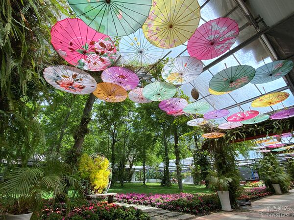 ▲▼楓樺台一渡假村。（圖／部落客紫色微笑授權提供）