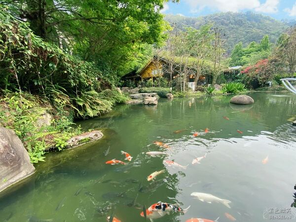 ▲▼楓樺台一渡假村。（圖／部落客紫色微笑授權提供）