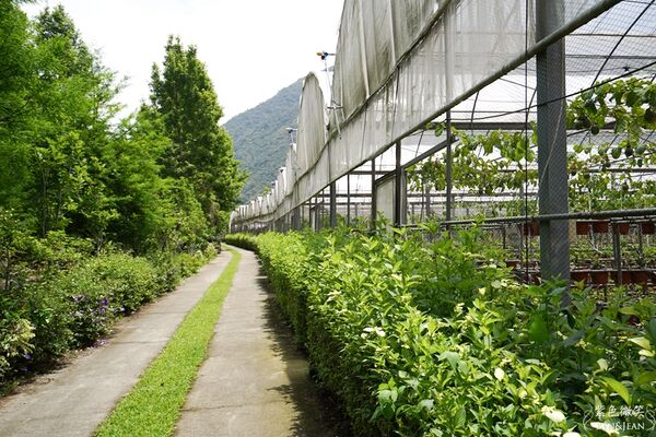 ▲▼楓樺台一渡假村。（圖／部落客紫色微笑授權提供）
