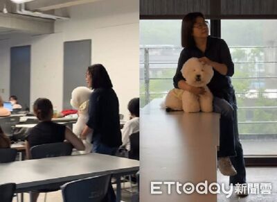 教授上課「拐走旁聽生」! 邊看報告邊摸完全愛不釋手