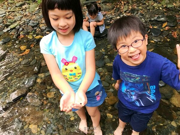 ▲▼圳頭鴛鴦溪。（圖／紫色微笑授權提供）