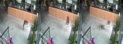 礁溪知名湯屋拜土地公　獼猴亂入「搶頭香」淡定抱走木瓜