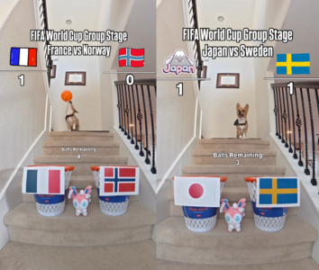 世界盃神犬開示!看好日本贏瑞典 另驚人預測挪威痛擊法國