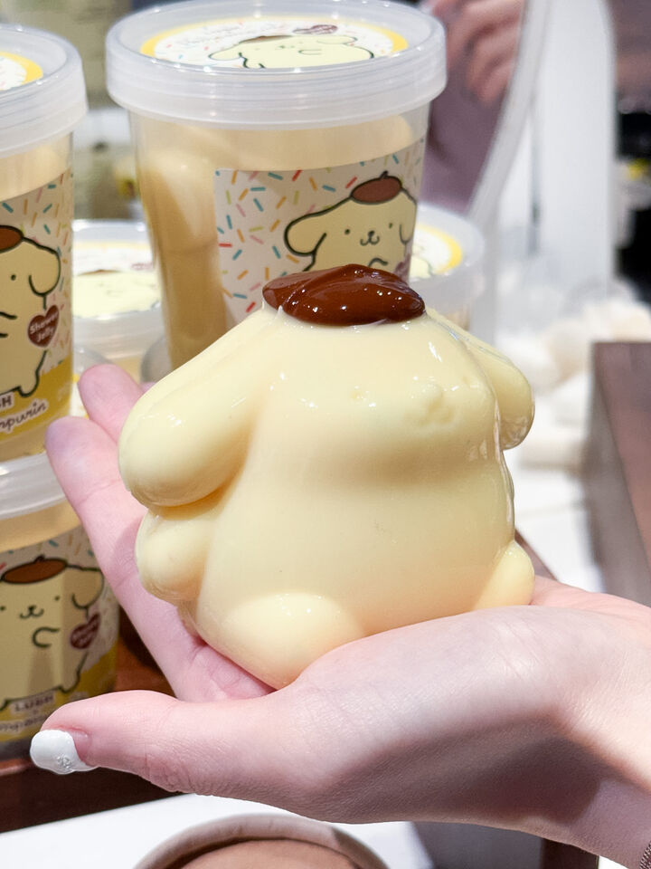 ▲LUSH,布丁狗,ANESSA,安耐曬,Cetaphil,舒特膚,保養,美妝。（圖／品牌提供、記者李薇攝）