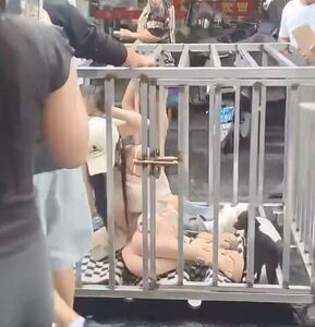 妙齡女「2人1狗」被關籠遊街示眾　紙牌3字引注目