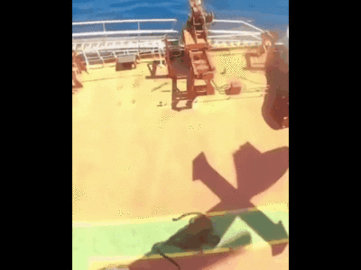 法國海軍垂降！　查扣俄國油輪畫面曝光