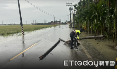 屏東暴雨狂風撂倒多棵檳榔樹堵路 東港警冒雨徒手清除保平安