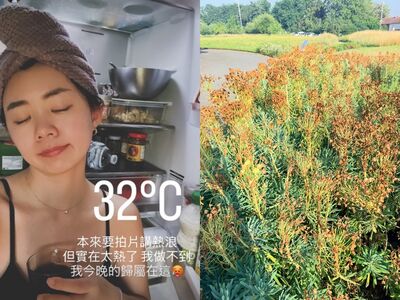 熱浪襲歐洲!旅法網紅「裝一台冷氣要21萬台幣」抓狂…熱到躲冰箱