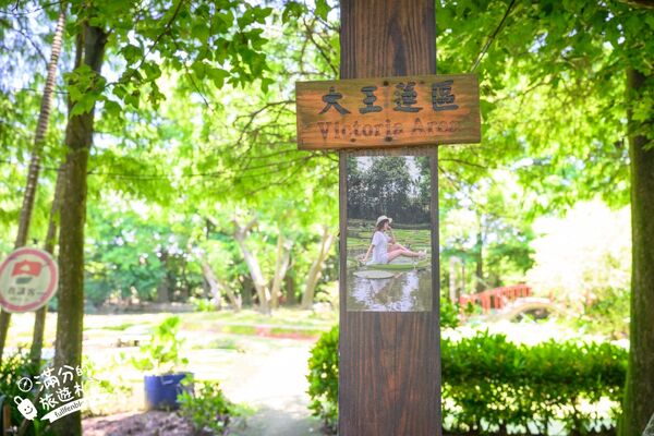 ▲▼蓮荷園休閒農場。（圖／部落客滿分的旅遊札記授權提供）
