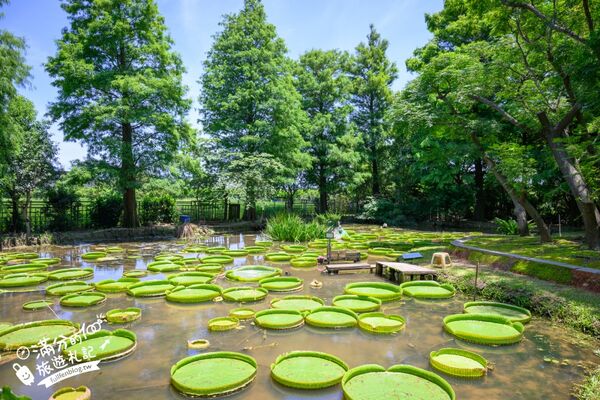 ▲▼蓮荷園休閒農場。（圖／部落客滿分的旅遊札記授權提供）