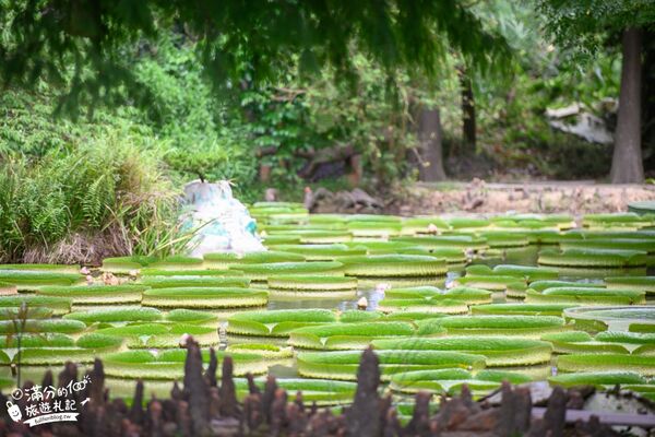 ▲▼蓮荷園休閒農場。（圖／部落客滿分的旅遊札記授權提供）