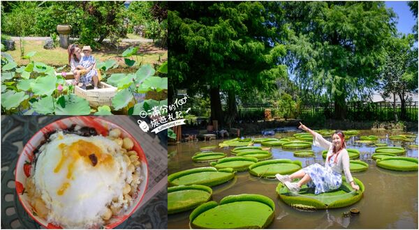 ▲▼蓮荷園休閒農場。（圖／部落客滿分的旅遊札記授權提供）