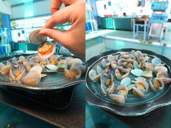 ▲▼雲林親子景點。（圖／ReadyGo提供）