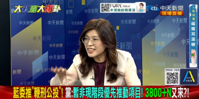擋鞭刑公投原因全說了! 鄭麗文:我要提重啟核電公投