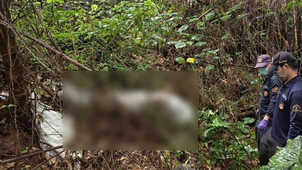 ▲彰化芬園鄉一處荔枝園發現一具保鮮膜包裹的女屍。（圖／民眾提供）