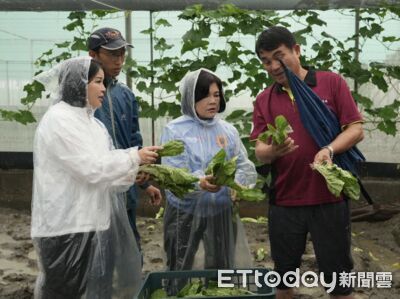 豪雨襲雲林萬頃葉菜泡湯!部分受損逾7成 農民盼中央儘速救助
