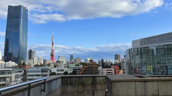 ▲▼東京鐵塔8個拍照取景秘境。（圖／CJ夫人授權提供）