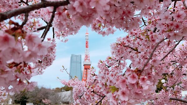 攝影迷必存東京鐵塔8個取景角度　停車場藏賽博龐克夜景