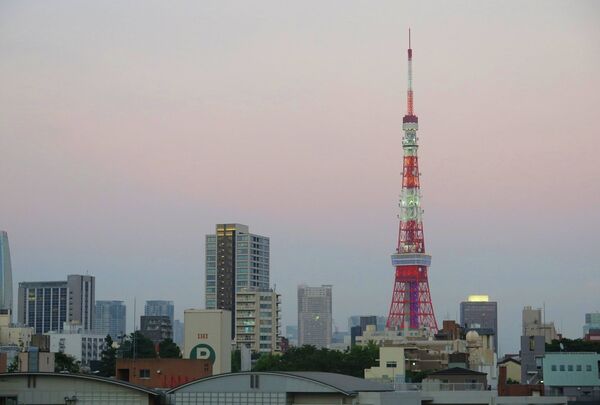 ▲▼東京鐵塔8個拍照取景秘境。（圖／CJ夫人授權提供）