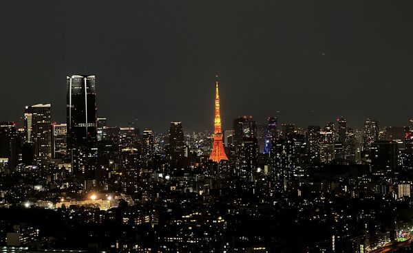 ▲▼東京鐵塔8個拍照取景秘境。（圖／CJ夫人授權提供）