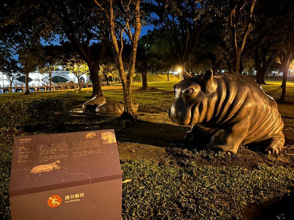 ▲▼奇美博物館的河馬位移。（圖／翻攝臉書／台南式 Tainan Style）