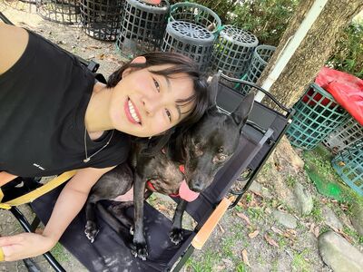 被酸蹭受虐犬流量! 米可白反擊曝收入來源:我不需要靠這些