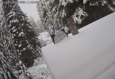 「罕見6月雪」襲美3州!32度夏天秒變冬天 一片銀白畫面曝
