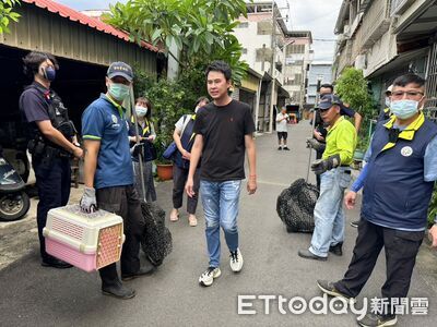 台南永康疑爆虐貓!最後一隻虎斑貓尋獲 3犬3貓全數進行安置
