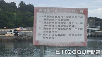 違規當度假?金門新湖漁港驚見「遮陽傘釣客」 告示形同虛設