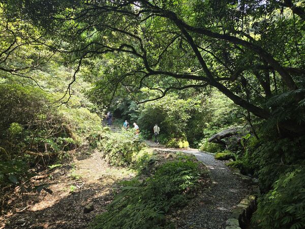 ▲陽明山竹子湖的「猴崁水圳步道」3月底完工。（圖／大地處提供）