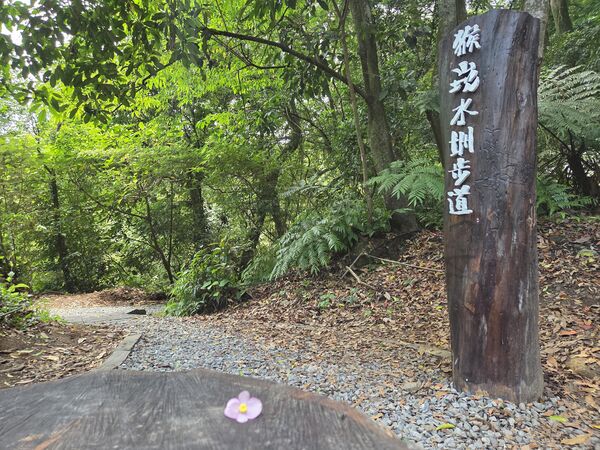 ▲陽明山竹子湖的「猴崁水圳步道」3月底完工。（圖／大地處提供）
