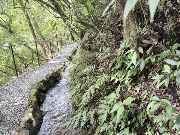 ▲陽明山竹子湖的「猴崁水圳步道」3月底完工。（圖／大地處提供）
