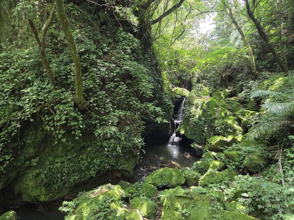▲陽明山竹子湖的「猴崁水圳步道」3月底完工。（圖／大地處提供）