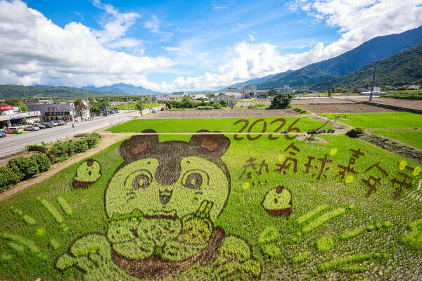 ▲▼關山吉伊卡哇彩繪稻田。（圖／讀者授權提供，請勿翻攝，以免侵權）