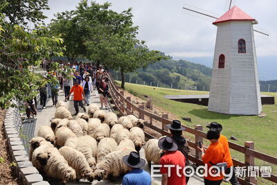 巴威來勢洶洶 退輔會:武陵、清境及福壽山9日12時起關園